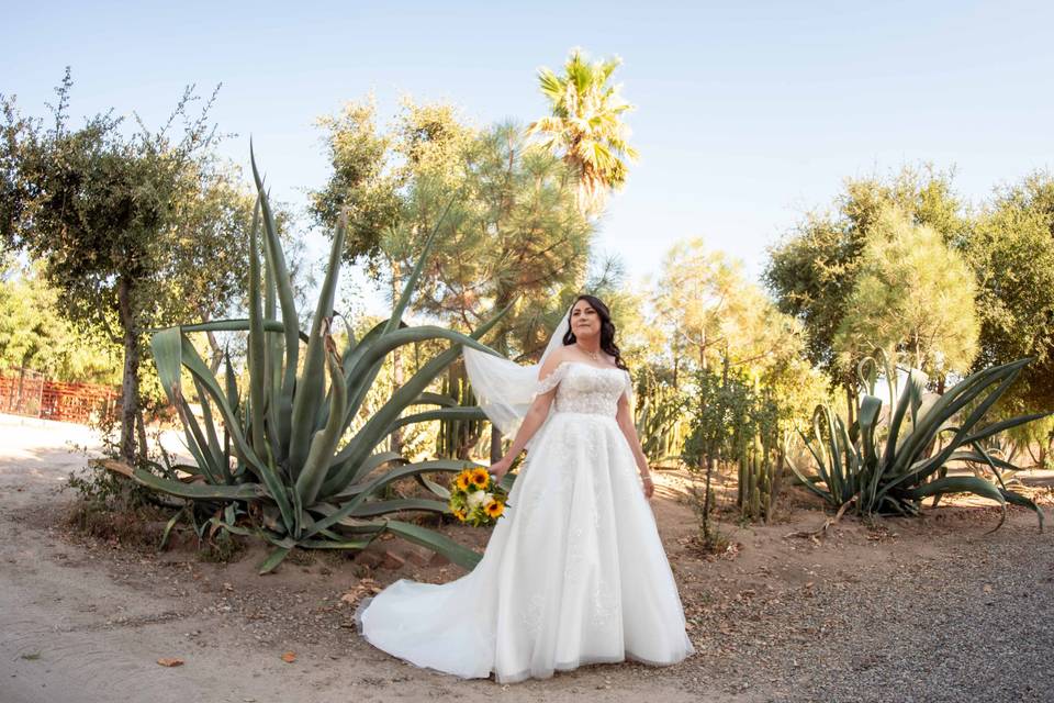 Wedding day