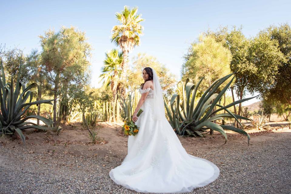Wedding day