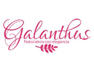 Logo galanthus