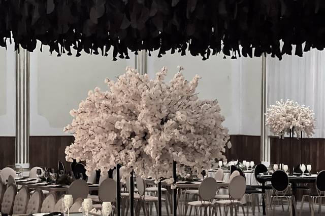 Boda paris & dalila