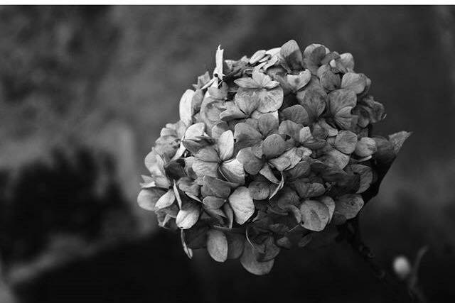 Naturaleza