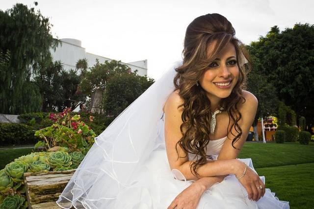 Novia perfecta