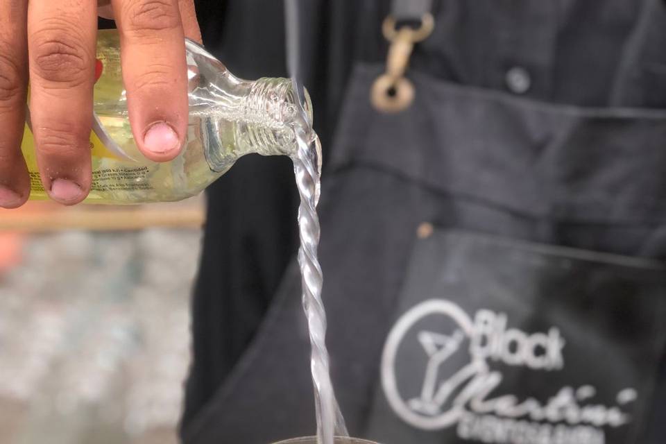 Gin de frutos