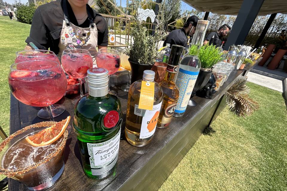Gins