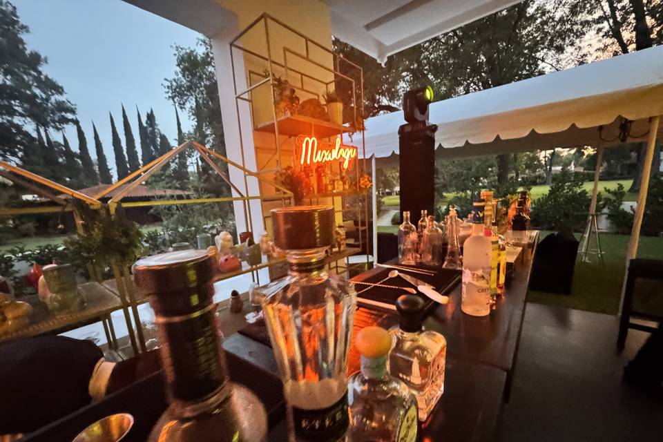 Vinos y licores