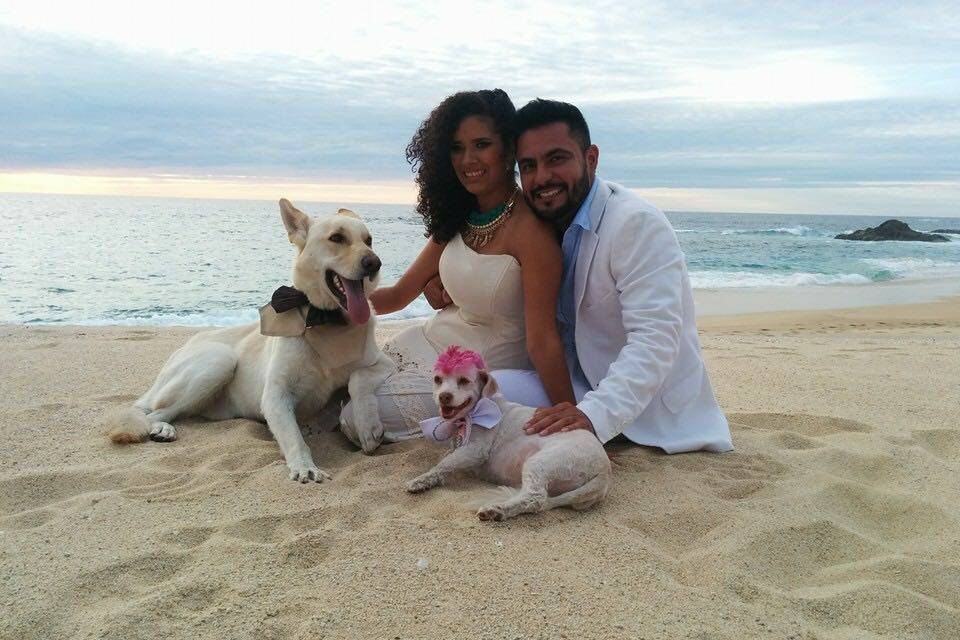 Boda el playa ¡felicidades!