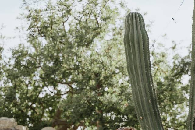 Meghan & Parker. Torote. Dec25