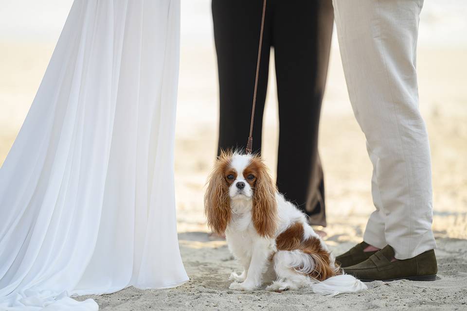 Boda en WHotel, Punta Mita