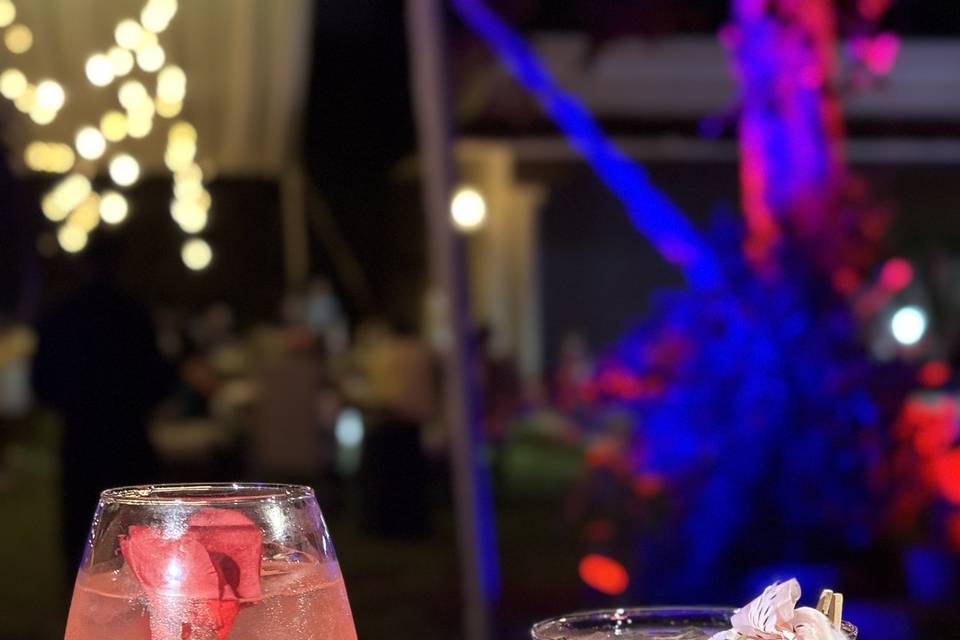 Cocteleria premium