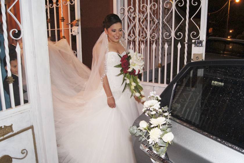 Asociados en Video y Foto