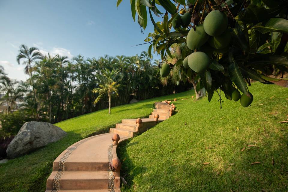 Villa Escala