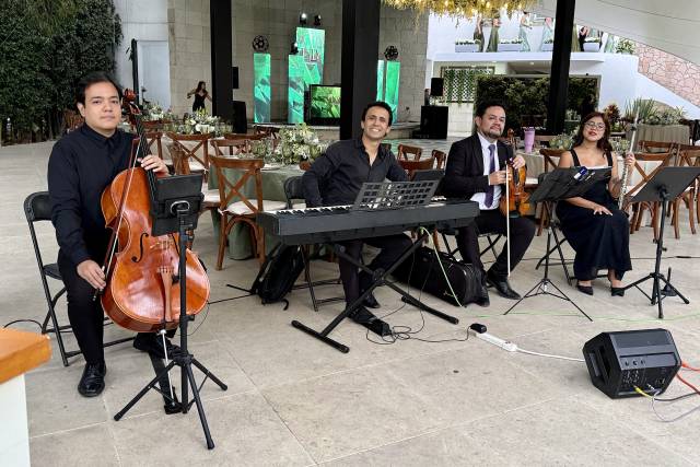 El ensamble ideal