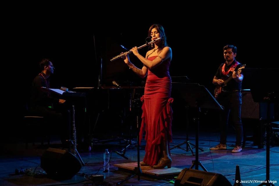 Signature Wedding Music MX
