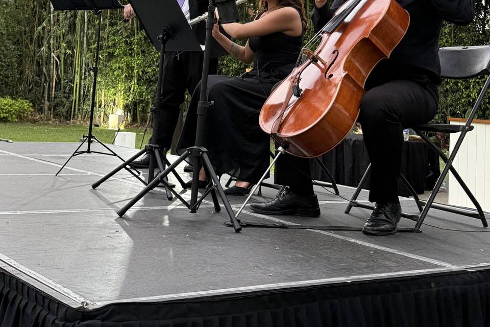 Elegancia