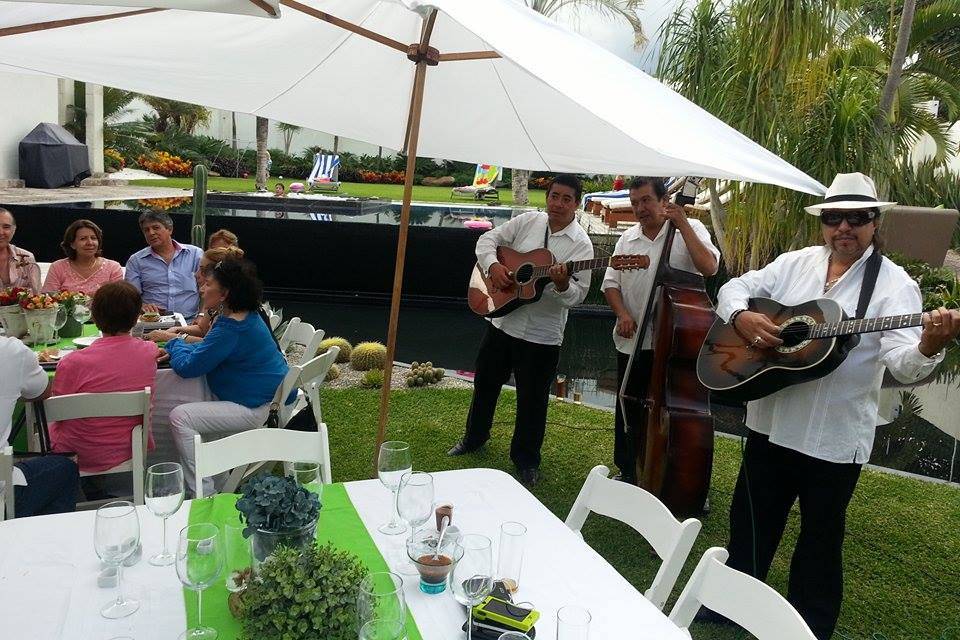 Cuerdas Bordonas Trío