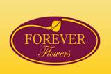 Forever Florería