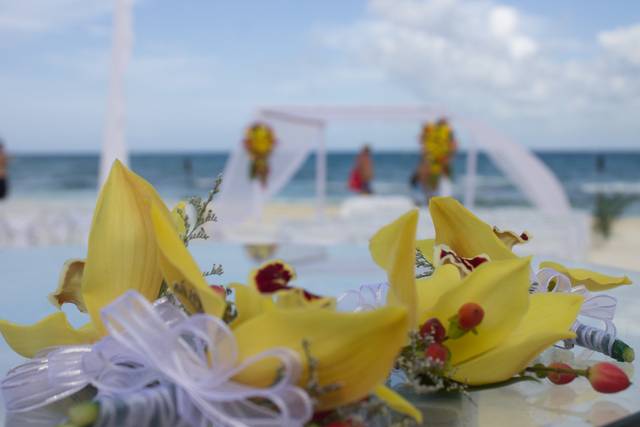 Bodas Playa del Carmen