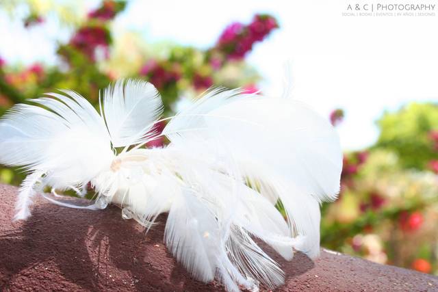 Wedding photography