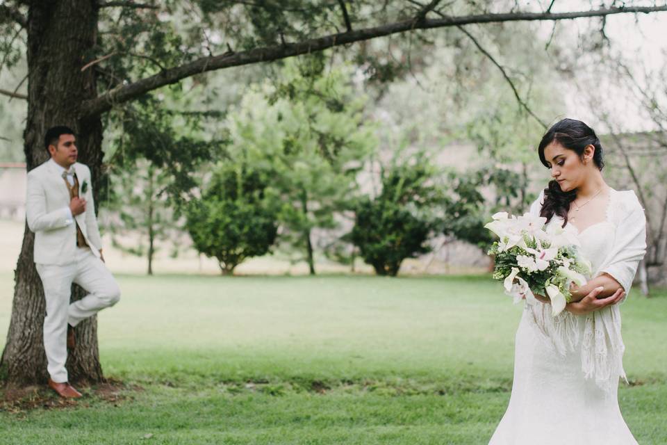 Sesiones de boda