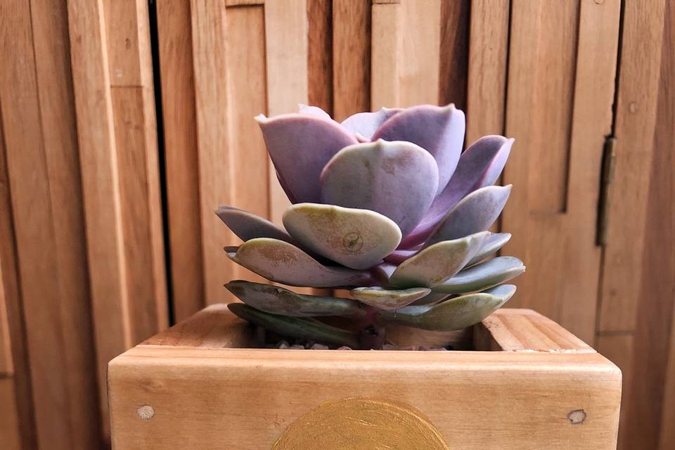 Caja de madera pintada