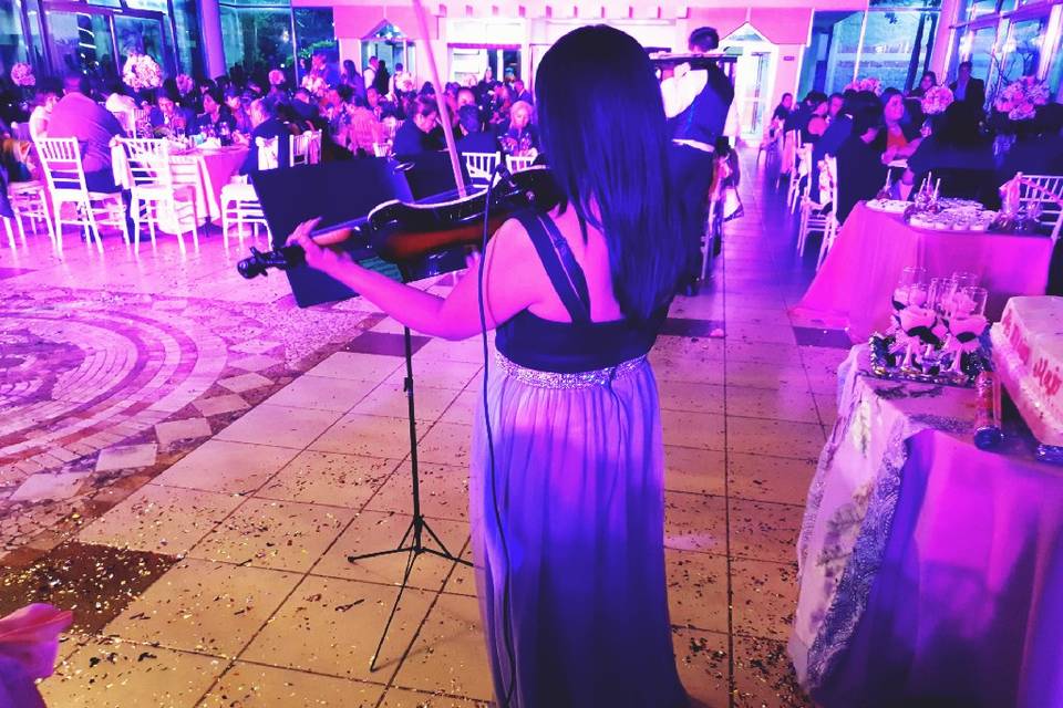 Violinista tocando