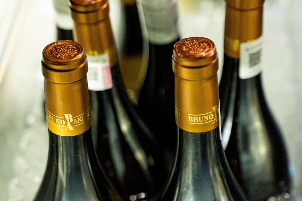 Vinos mexicanos e importados