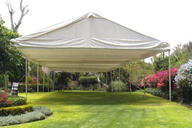 Carpa