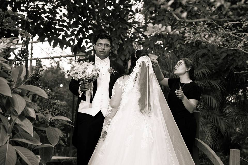 Novia