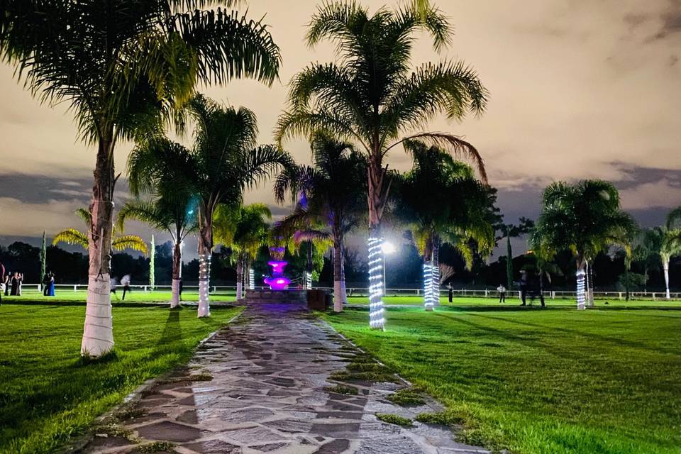 Áreas verdes de noche