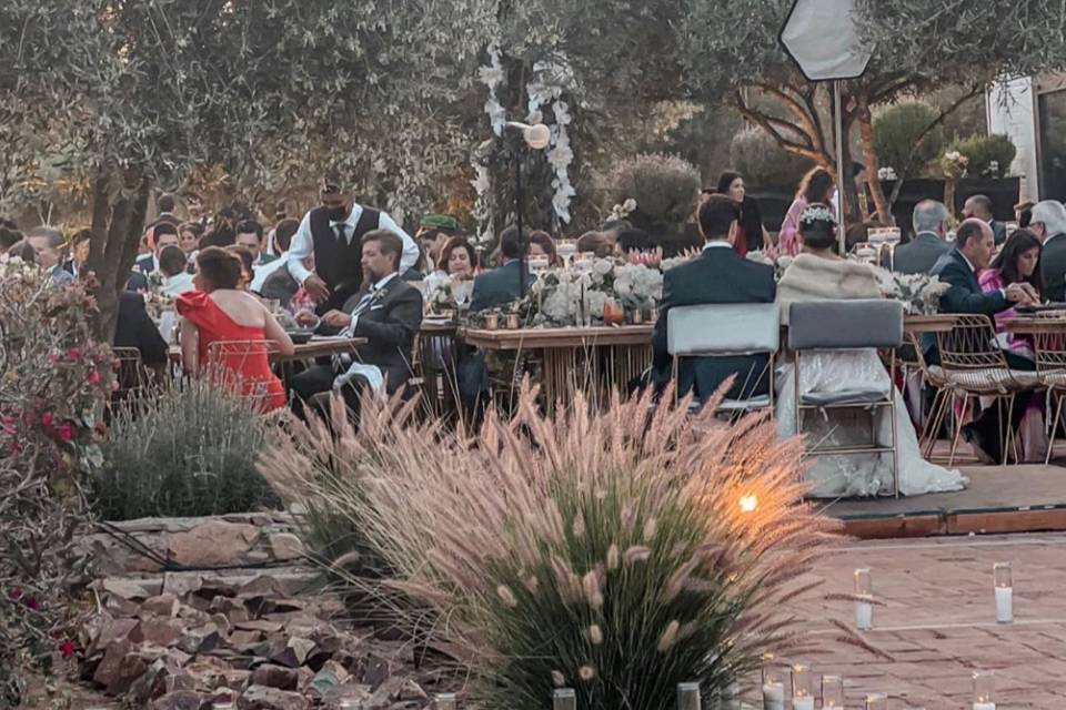 Bodas en valle de Guadalupe