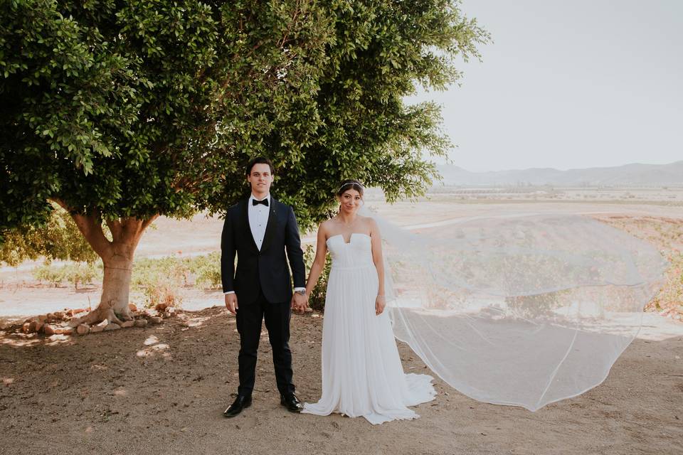 Valle de Guadalupe