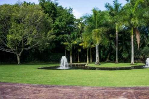 Jardín Las Palmas