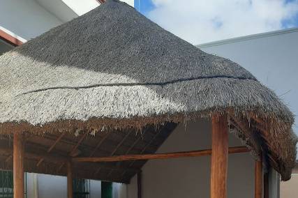 Vista de la palapa