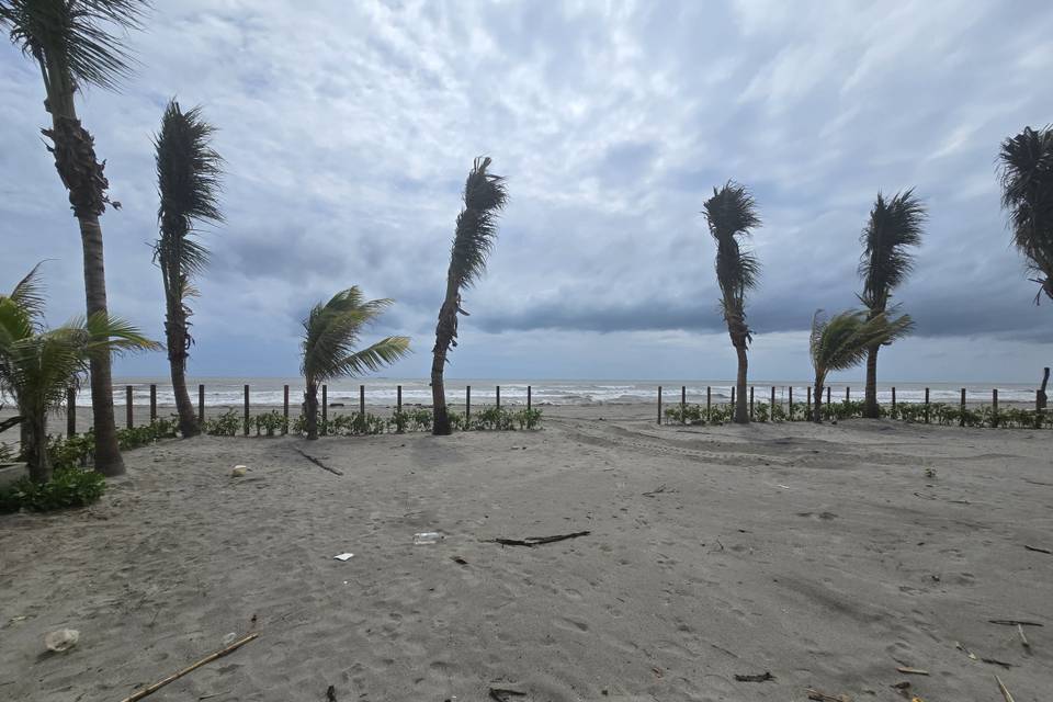 Playa 100% privada