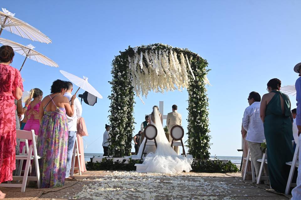Ocean Front Garden