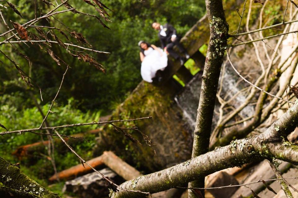 Trash the dress