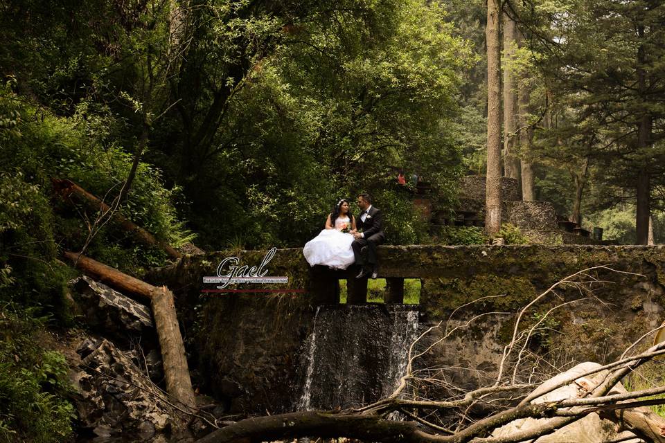 Trash the dress