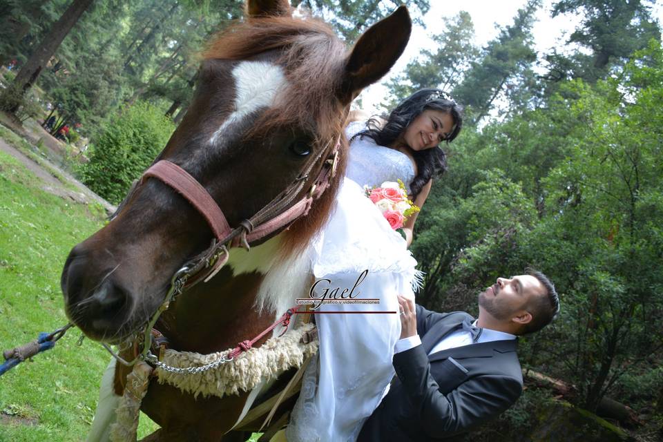 Trash the dress