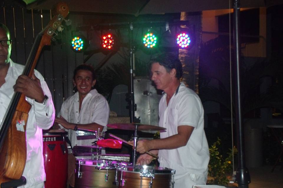 Grupos musicales en vallarta