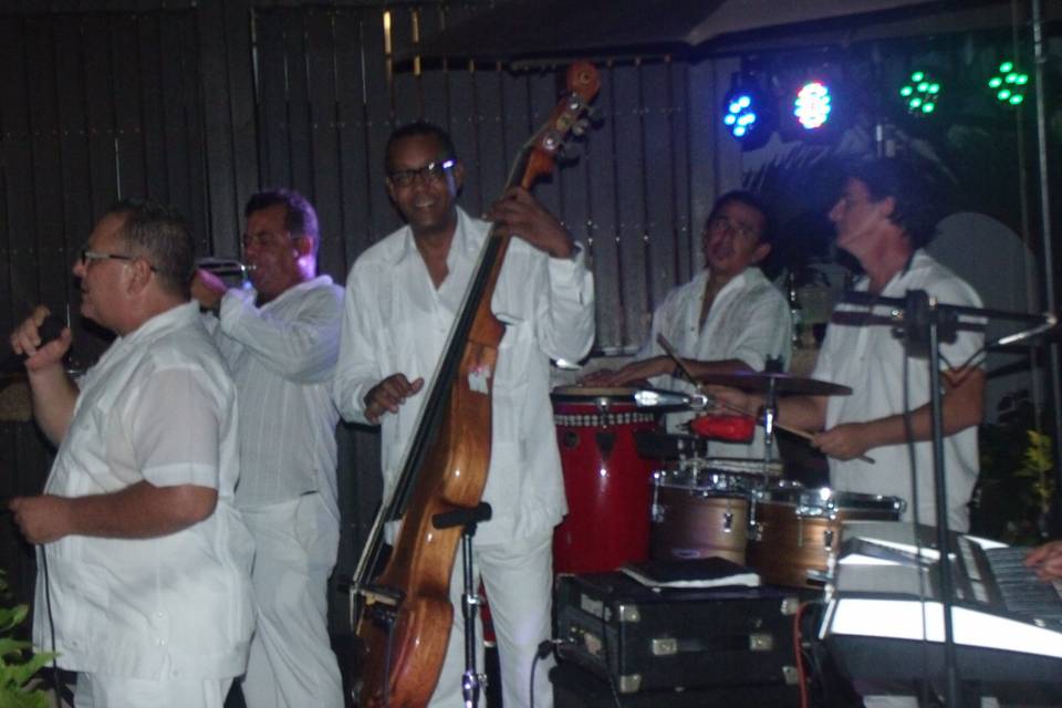 Grupos musicales en vallarta