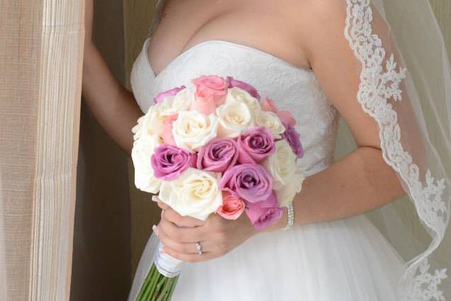 Novia