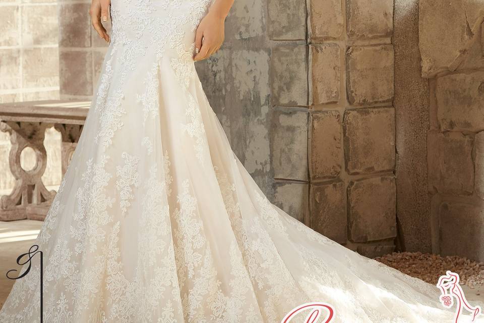 Romance Novias Culiacán