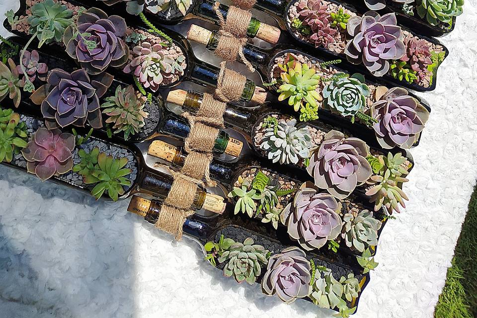 Succulent House