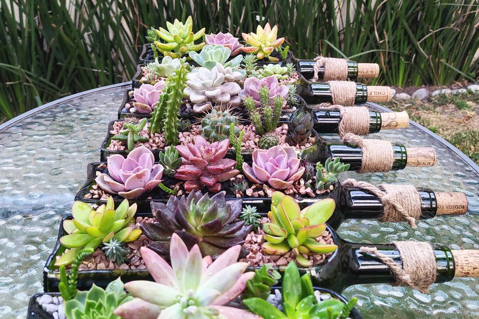 Succulent House