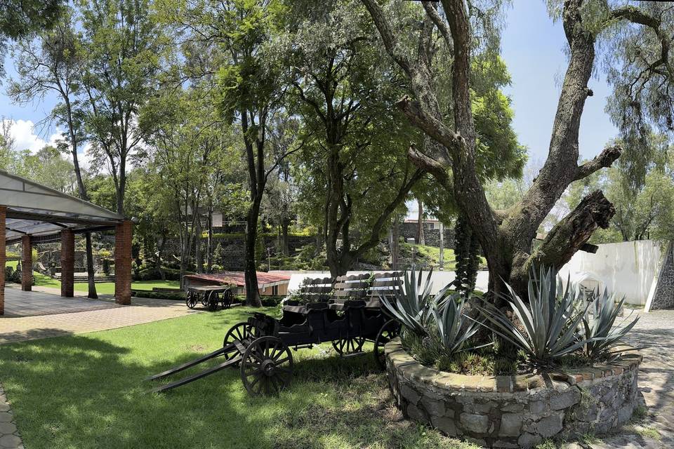 Deck