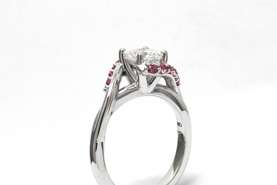 Anillo Bypass Catedral