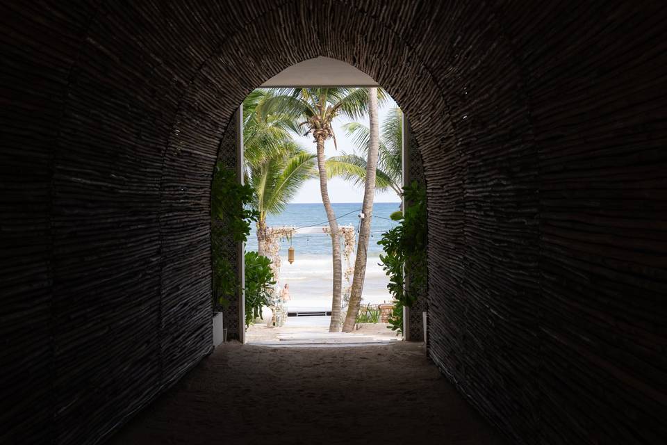 Vista