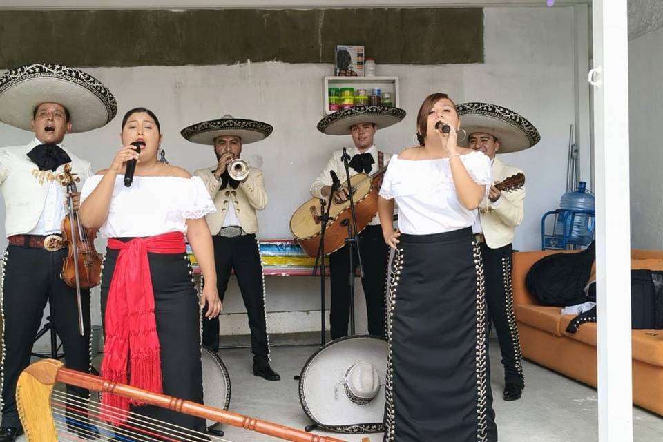Mariachi en vivo