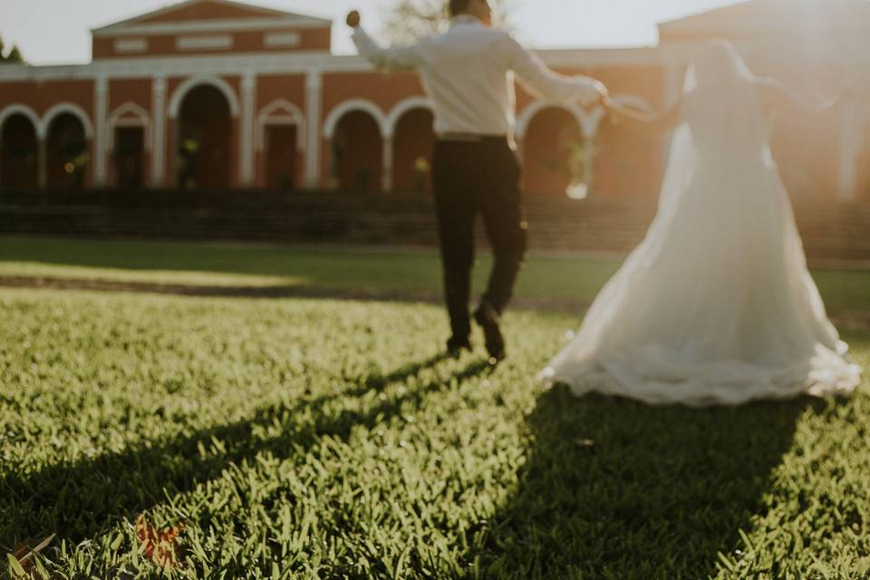 Trash the dress