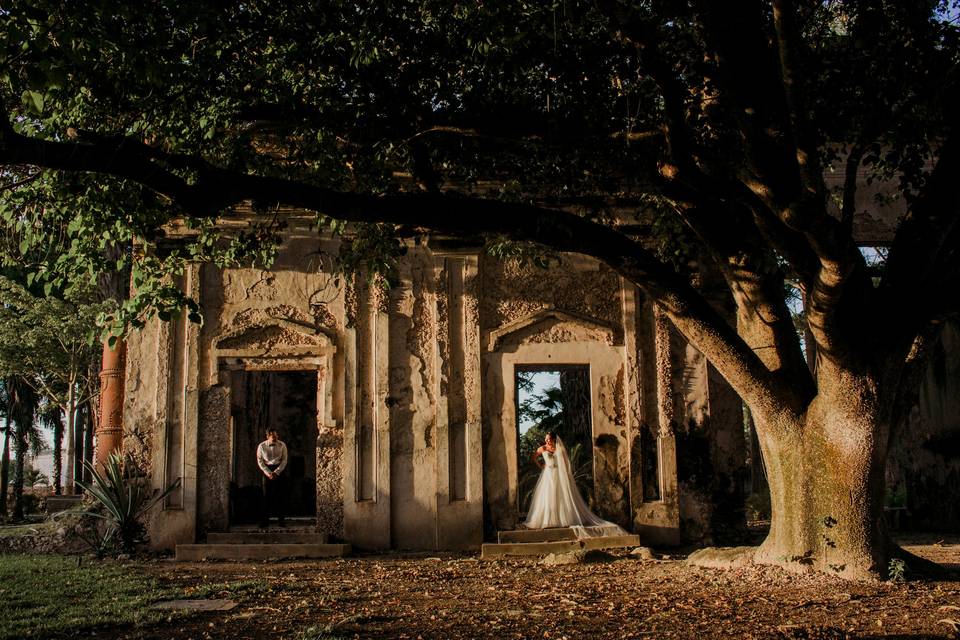 Trash the dress